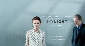 ntlive_skylight_large2